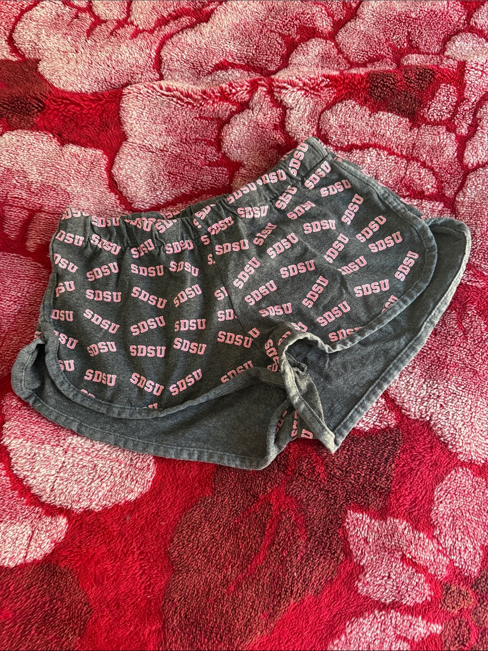 SDSU collegiate shorts Grey & Pink Women's Shorts